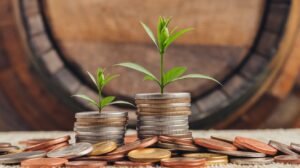 Guia Completo Para Iniciantes no Mercado de Ações: Primeiros Passos para Investir com Confiança